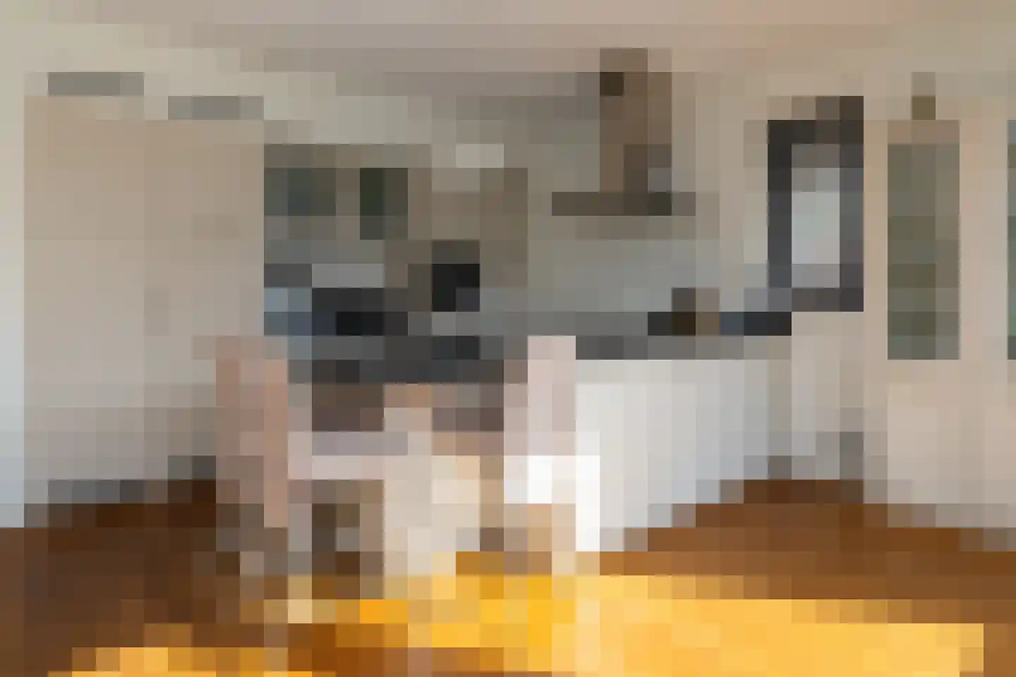 De Buntezoom 11 Nunspeet thumbnail 13