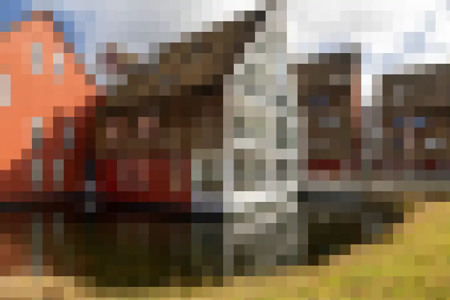 De Buntezoom 11 Nunspeet foto 2