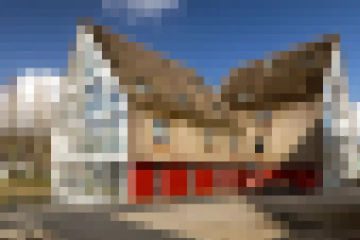 De Buntezoom 11 Nunspeet thumbnail 37
