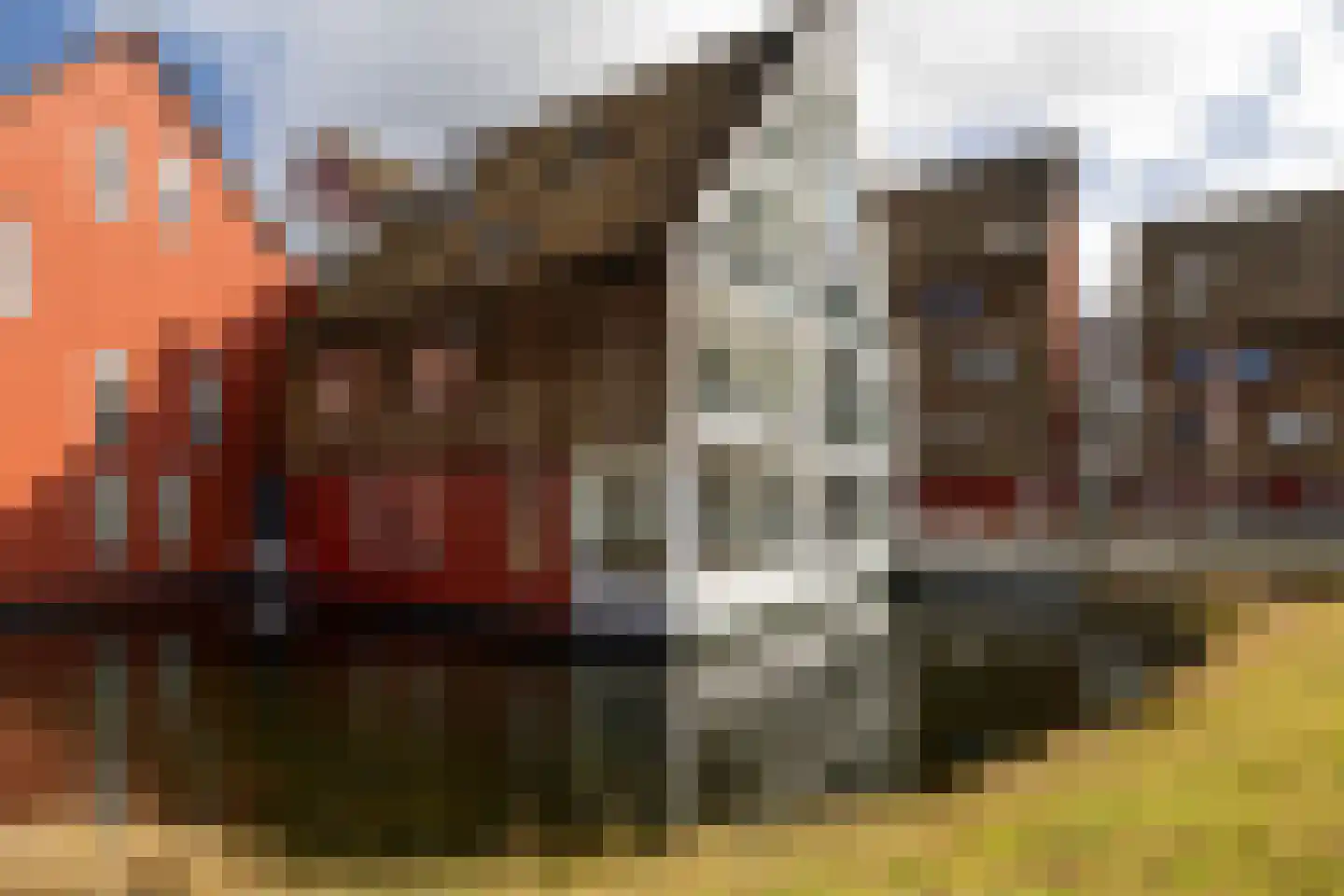 De Buntezoom 11 Nunspeet thumbnail 4