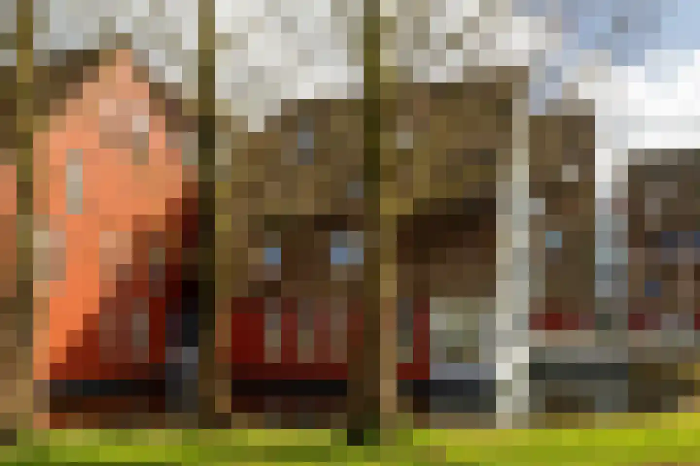 De Buntezoom 11 Nunspeet thumbnail 40