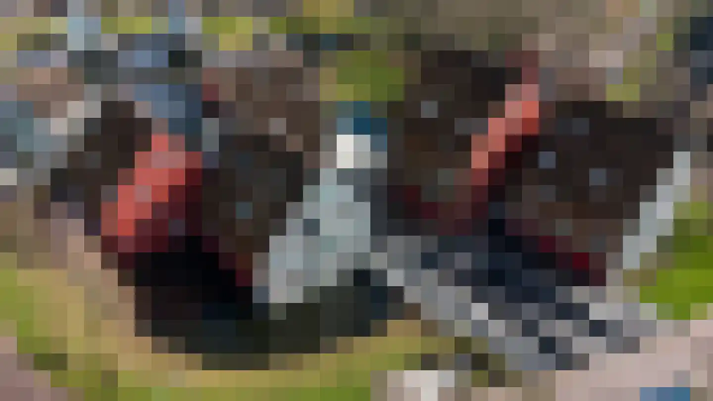 De Buntezoom 11 Nunspeet thumbnail 5