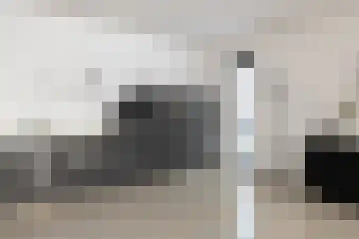 De Buntezoom 15 Nunspeet thumbnail 19