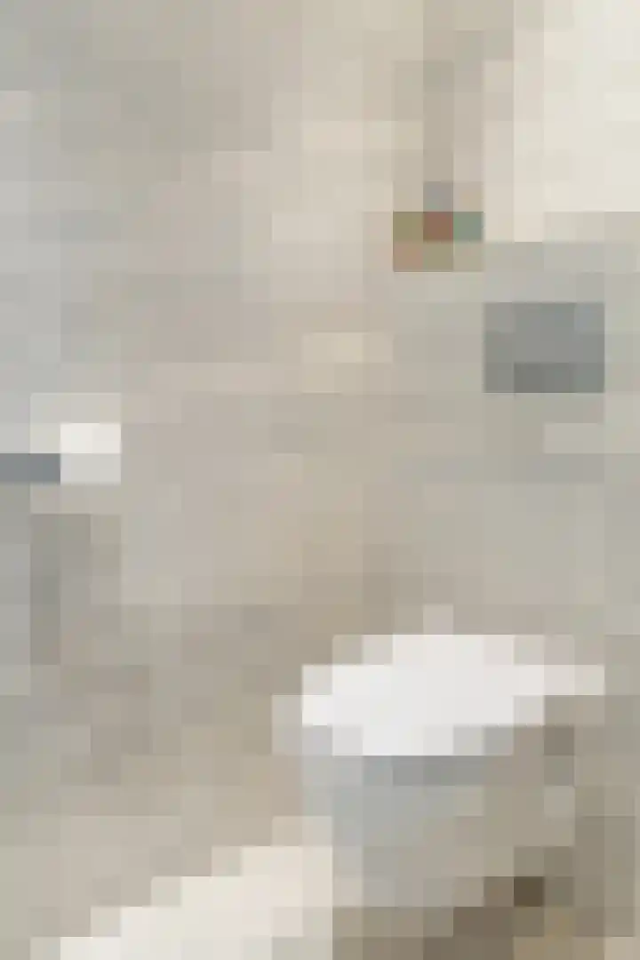 De Buntezoom 15 Nunspeet thumbnail 31