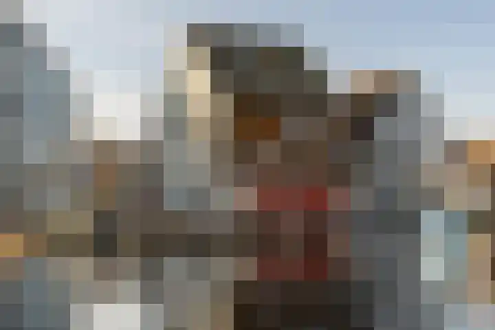De Buntezoom 15 Nunspeet thumbnail 37