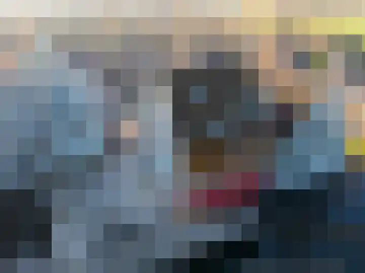 De Buntezoom 15 Nunspeet thumbnail 44
