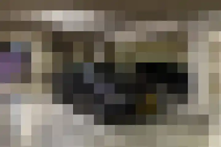 De Buntezoom 15 Nunspeet thumbnail 51