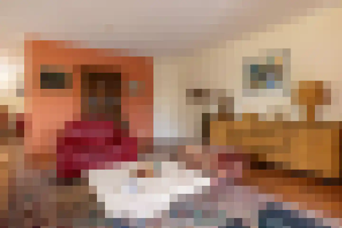De Buntezoom 31 Nunspeet thumbnail 14