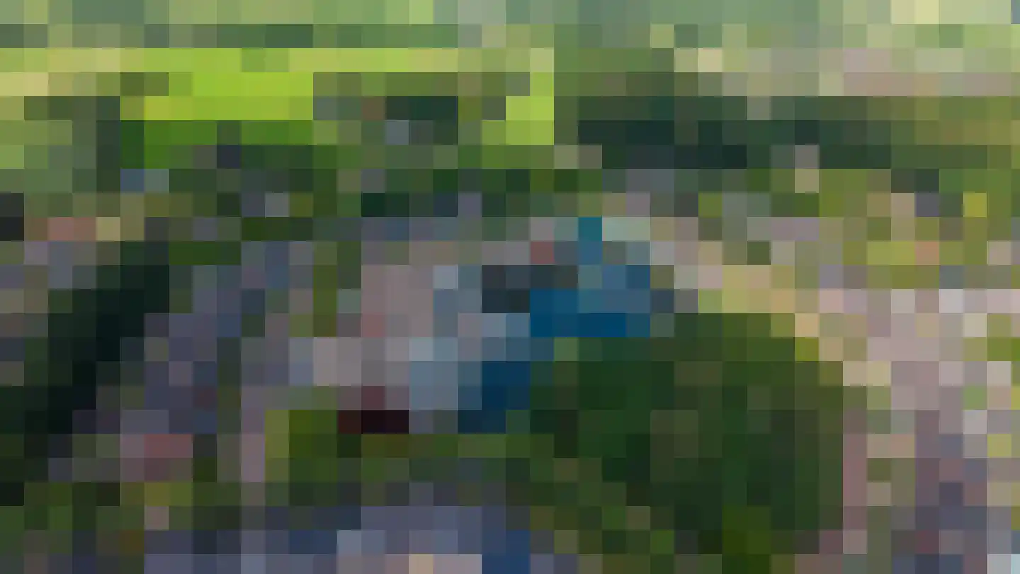 De Buntezoom 31 Nunspeet thumbnail 4