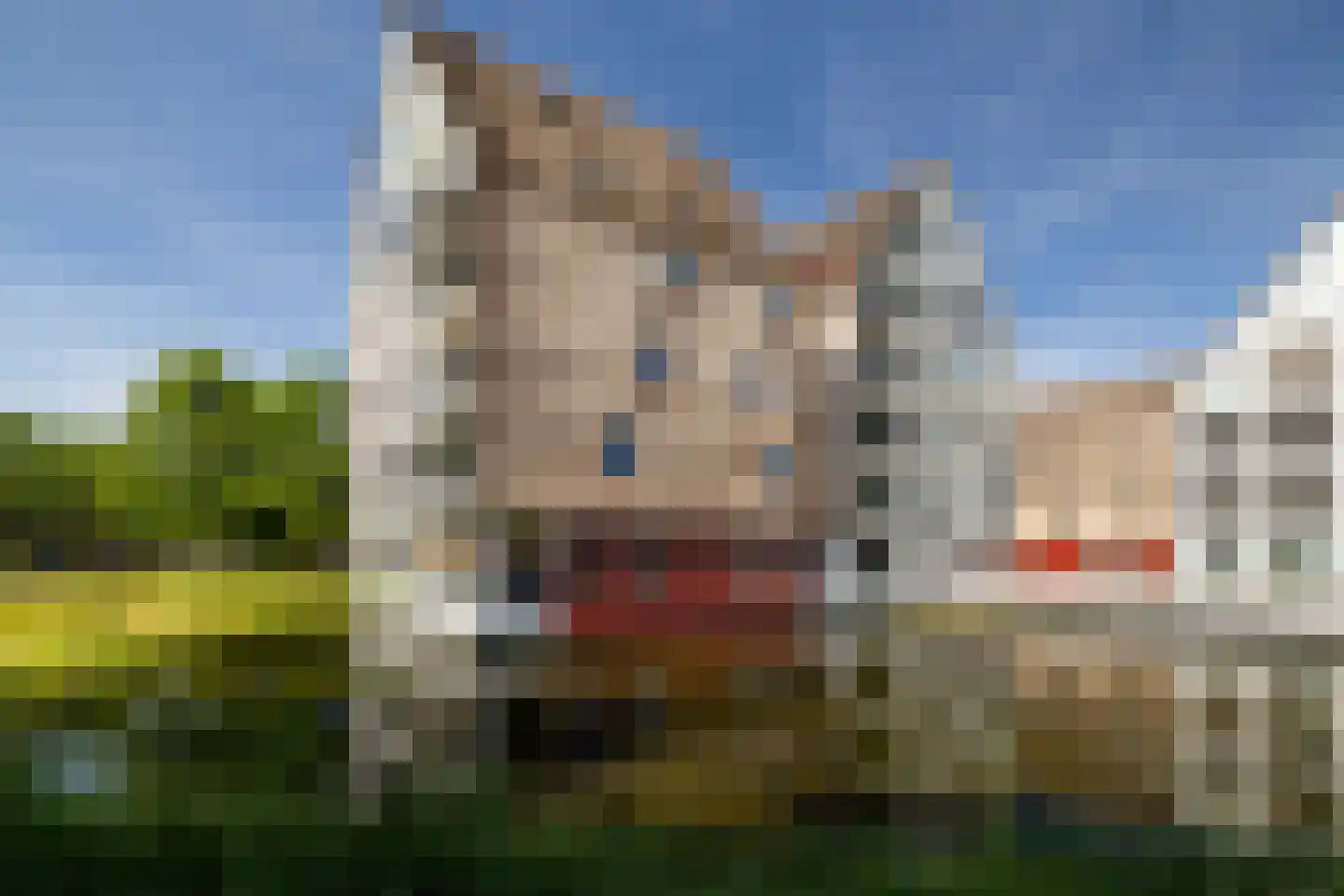 De Buntezoom 31 Nunspeet thumbnail 40