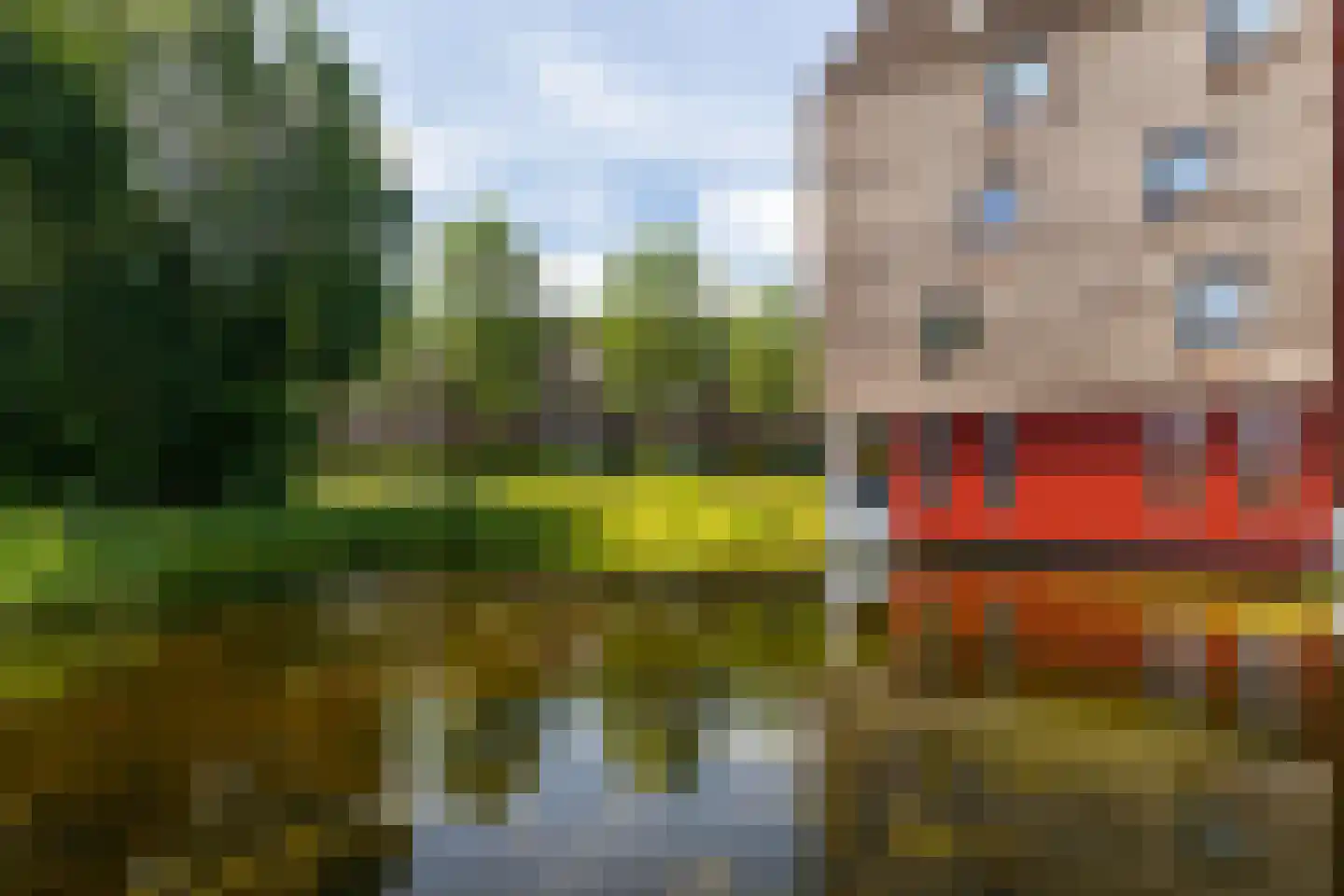 De Buntezoom 31 Nunspeet thumbnail 6