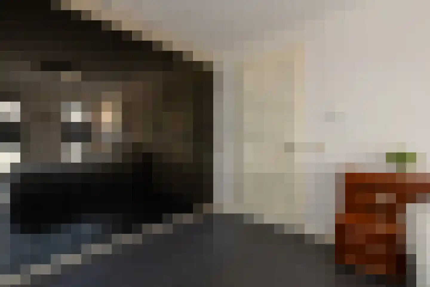 De Buntezoom 33 Nunspeet thumbnail 25