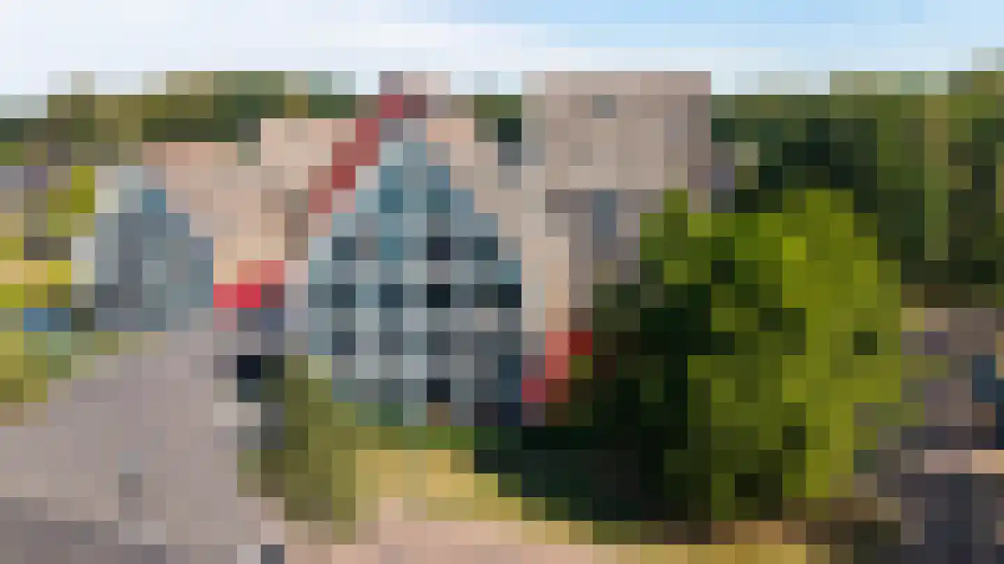 De Buntezoom 33 Nunspeet thumbnail 36