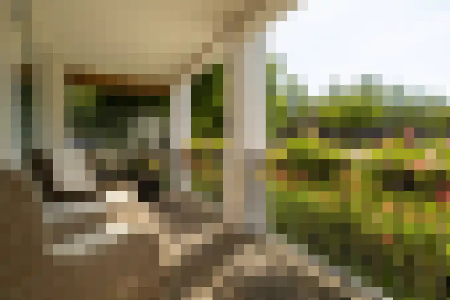 De Buntezoom 33 Nunspeet thumbnail 38