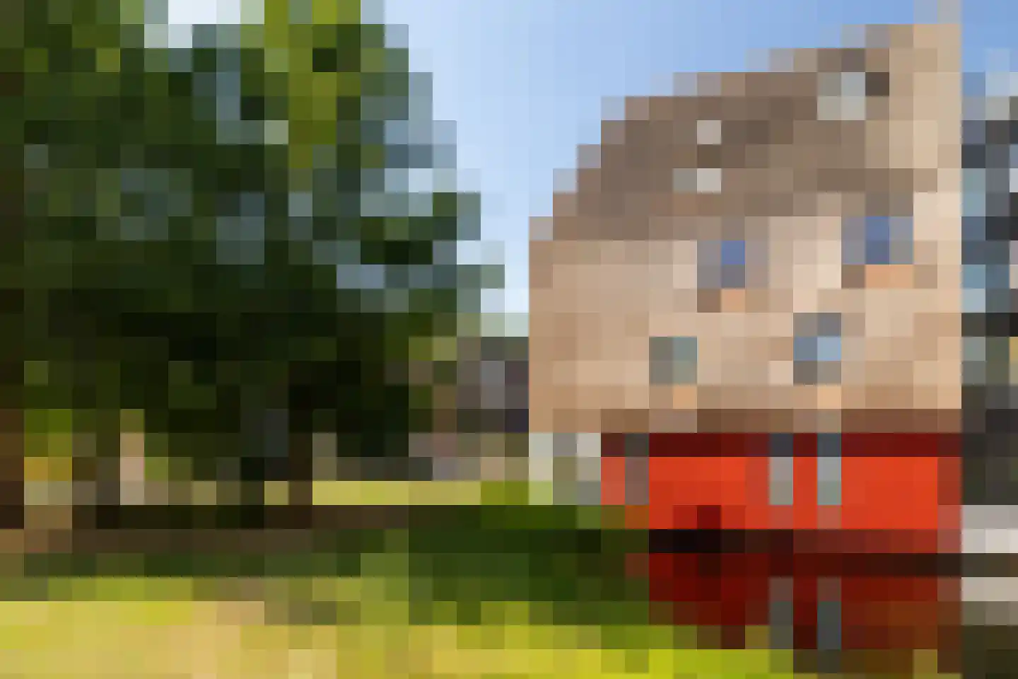 De Buntezoom 33 Nunspeet thumbnail 39