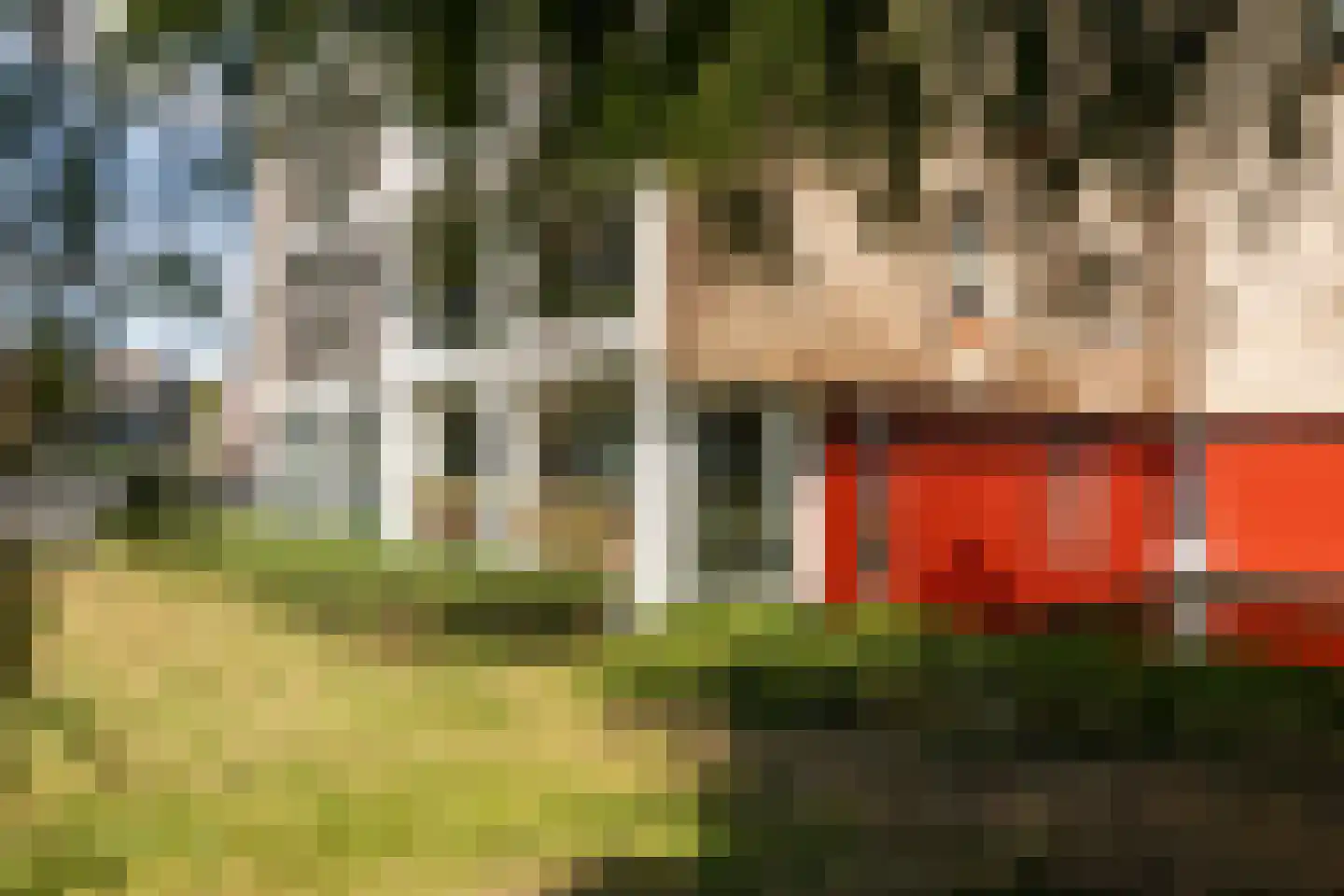 De Buntezoom 33 Nunspeet thumbnail 4