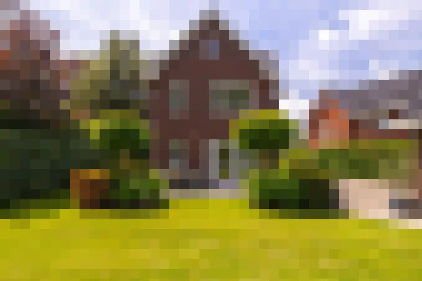 De Buntezoom 42 Nunspeet thumbnail 10