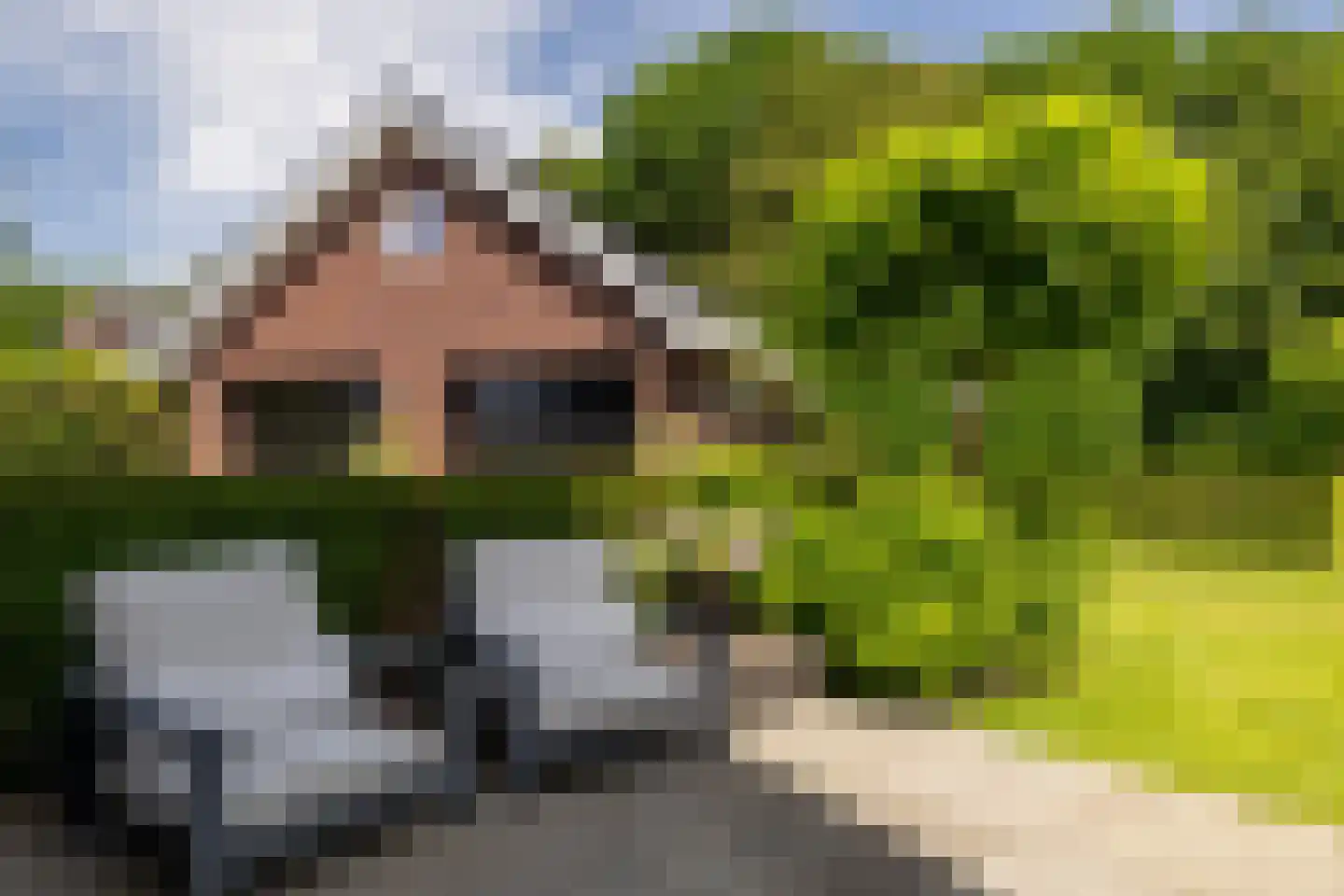 De Buntezoom 42 Nunspeet thumbnail 11