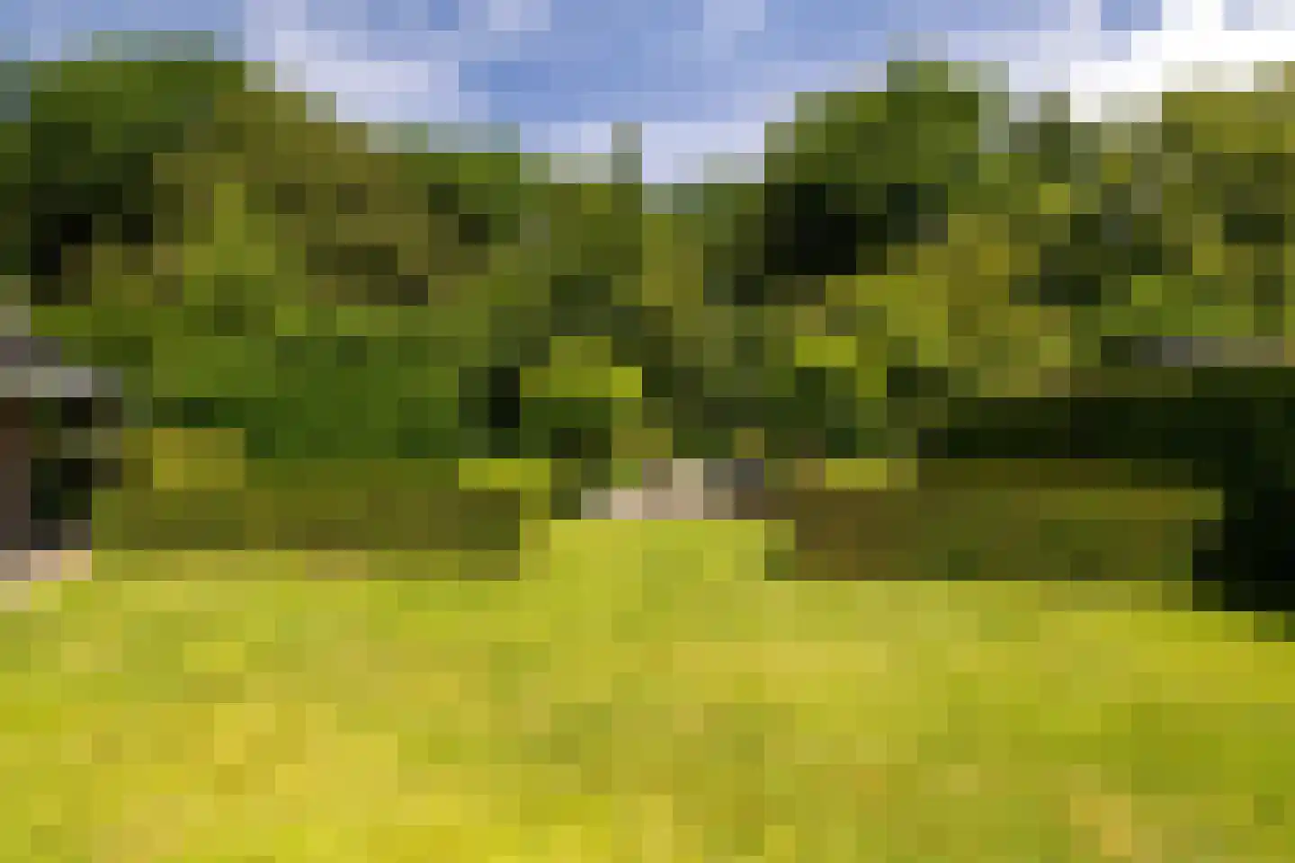 De Buntezoom 42 Nunspeet thumbnail 12