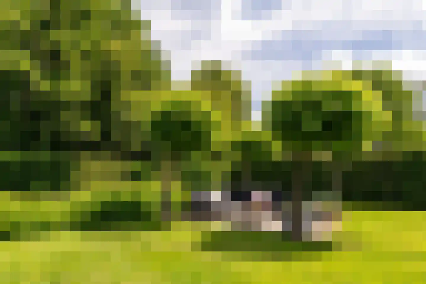 De Buntezoom 42 Nunspeet thumbnail 14