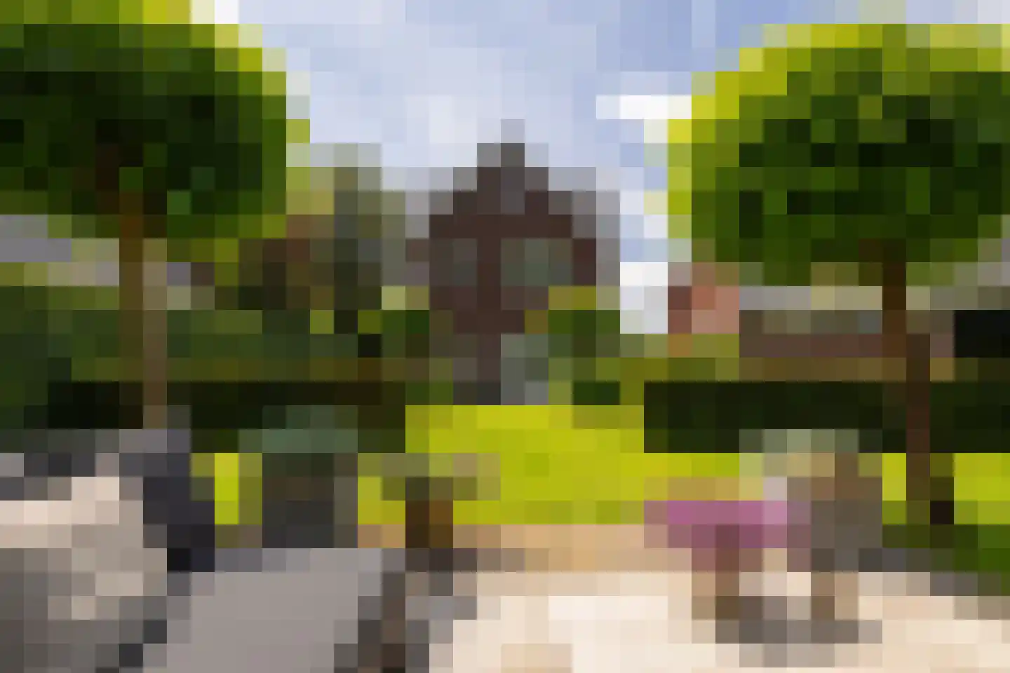 De Buntezoom 42 Nunspeet thumbnail 15