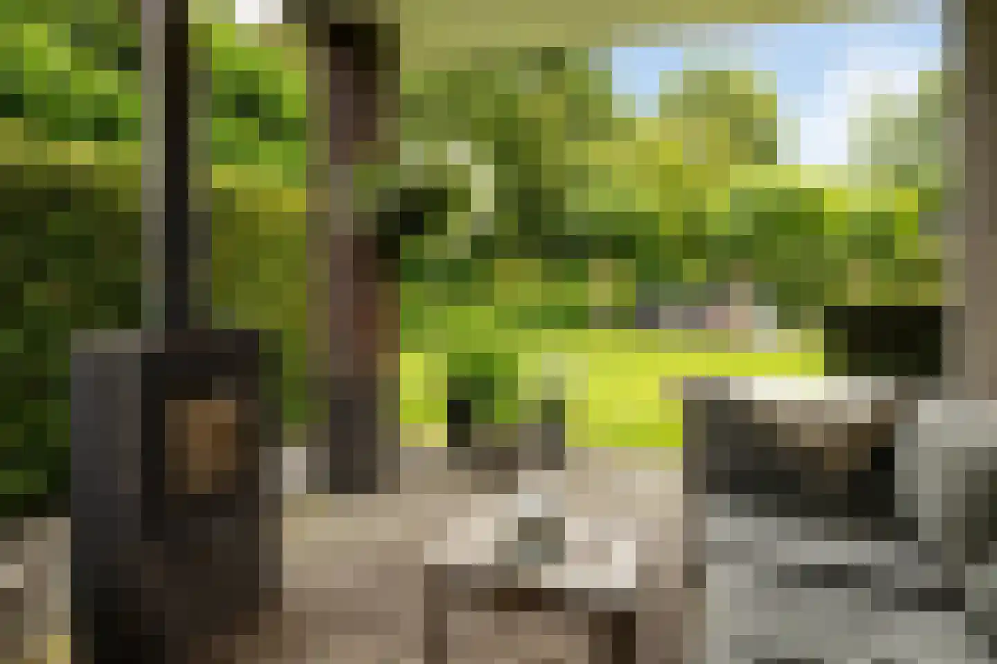 De Buntezoom 42 Nunspeet thumbnail 17