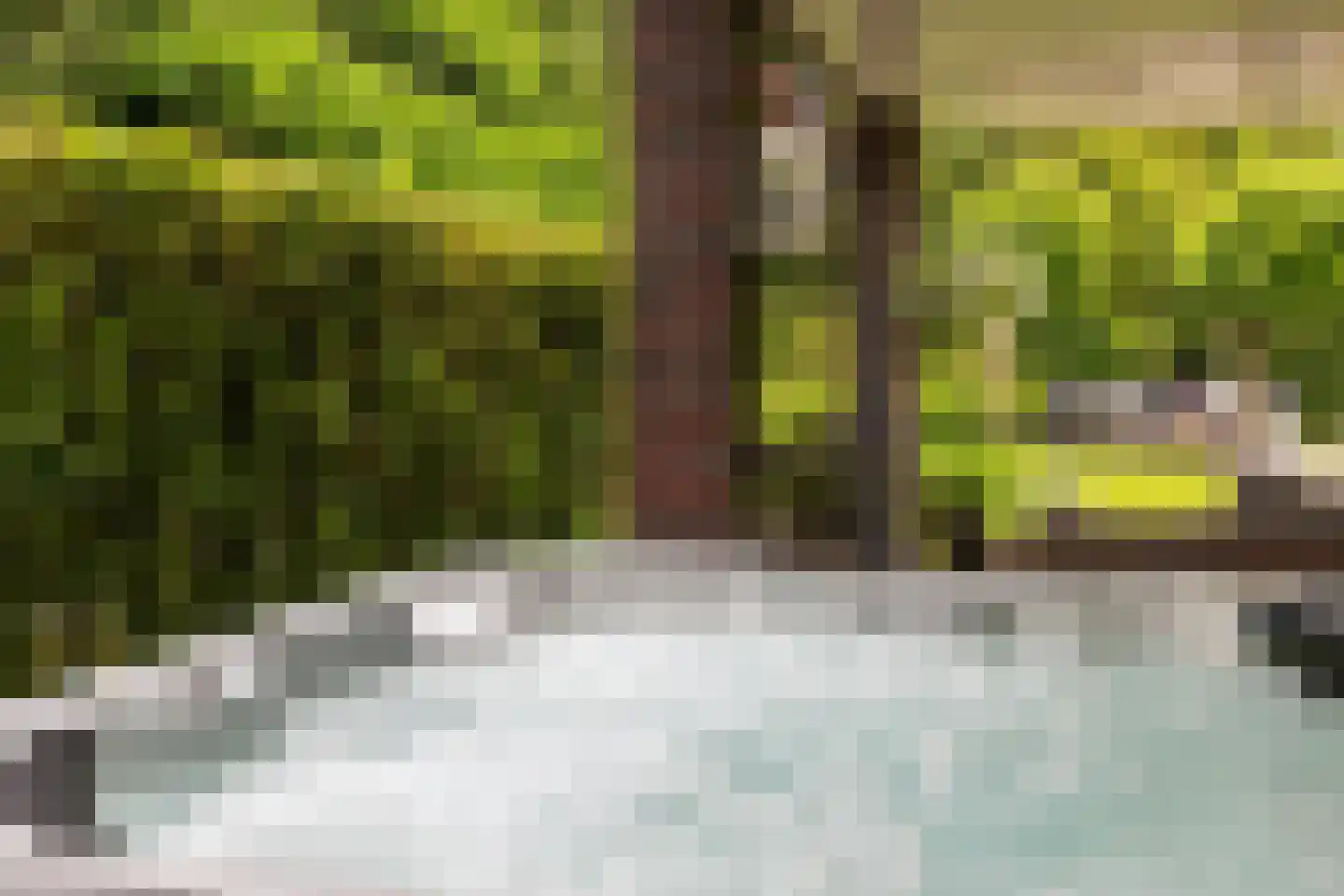 De Buntezoom 42 Nunspeet thumbnail 18