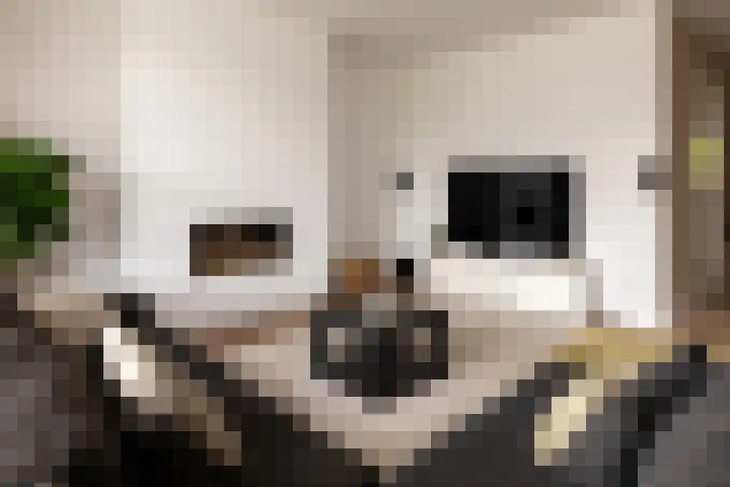 De Buntezoom 42 Nunspeet thumbnail 25