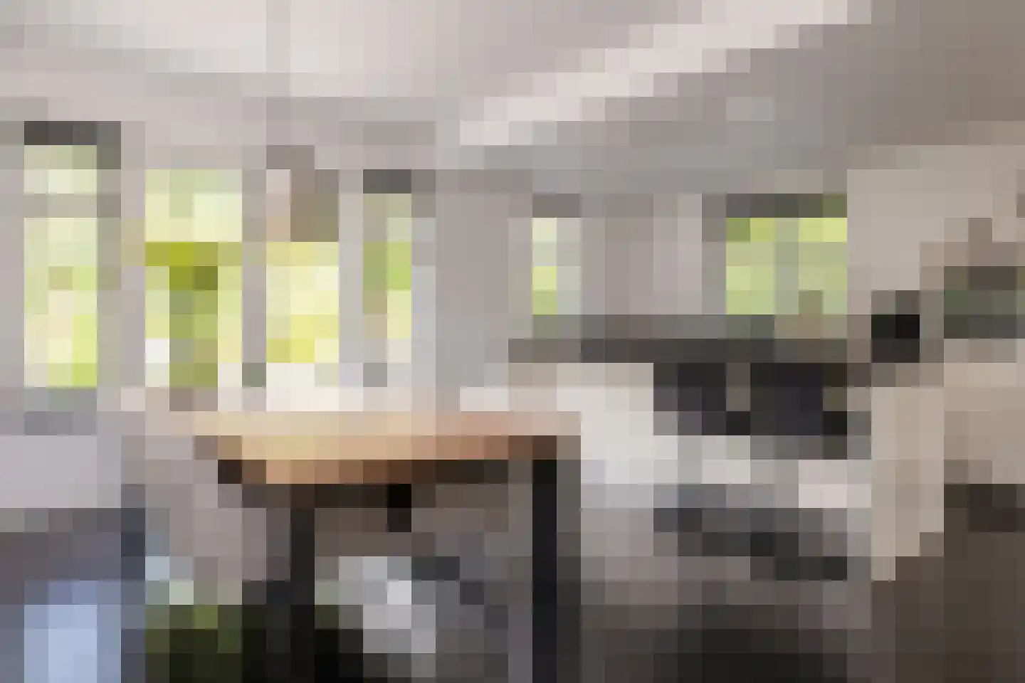De Buntezoom 42 Nunspeet thumbnail 32