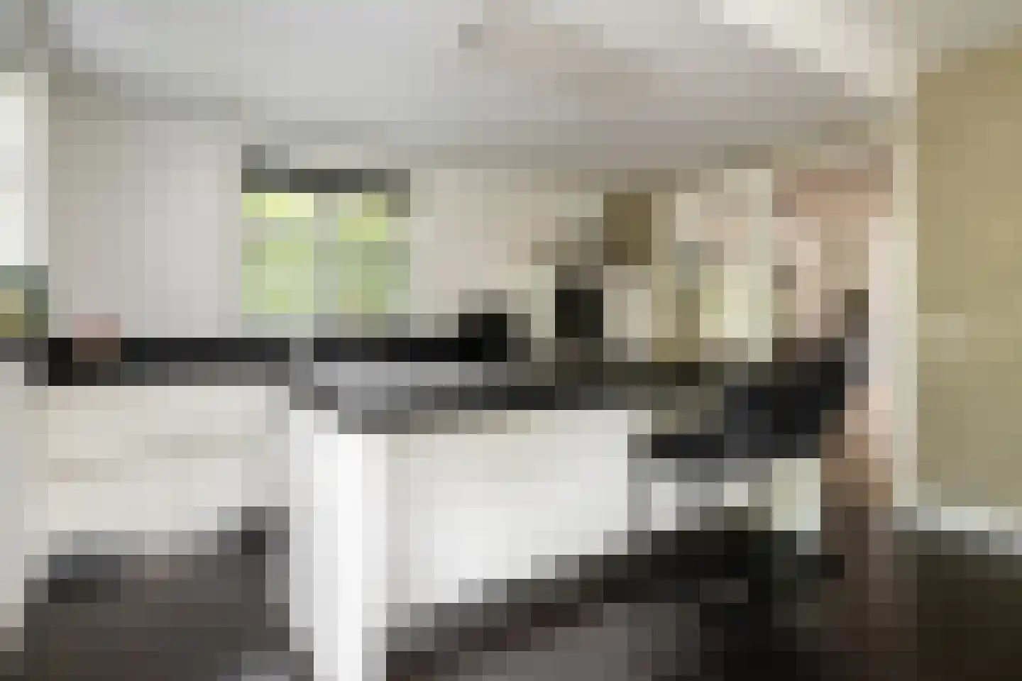 De Buntezoom 42 Nunspeet thumbnail 33