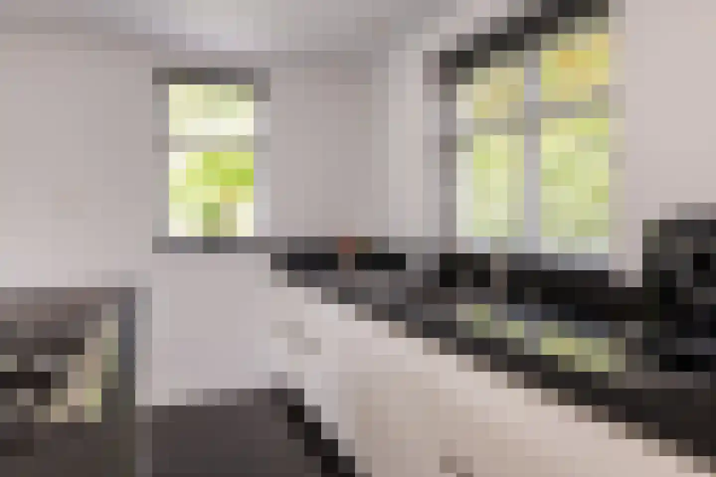 De Buntezoom 42 Nunspeet thumbnail 34