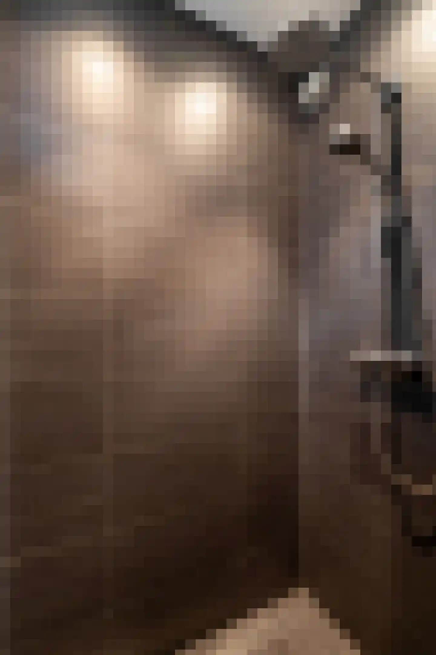 De Buntezoom 42 Nunspeet thumbnail 43