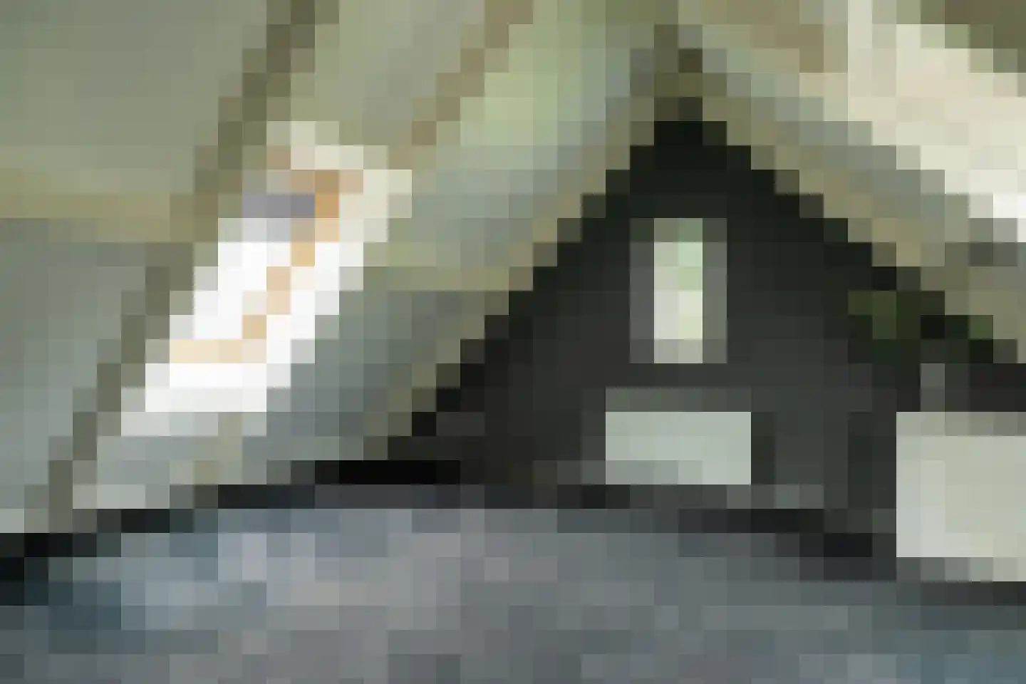 De Buntezoom 42 Nunspeet thumbnail 50