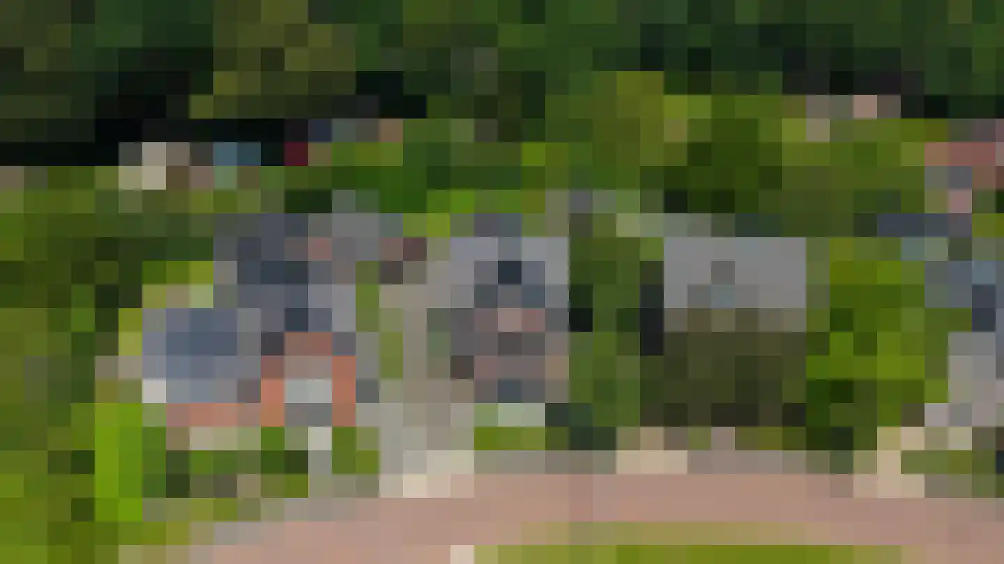 De Buntezoom 42 Nunspeet thumbnail 53