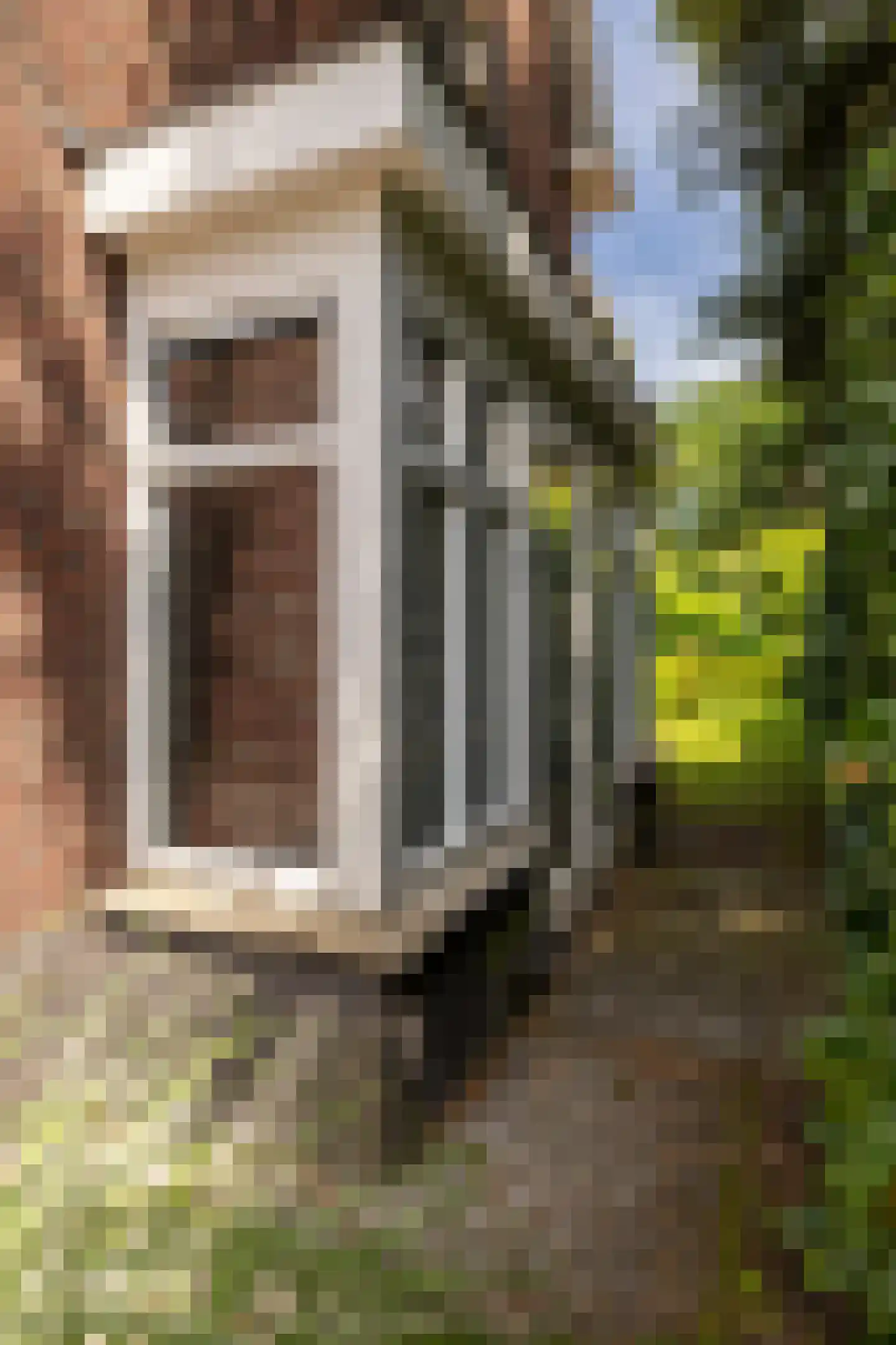 De Buntezoom 42 Nunspeet thumbnail 55