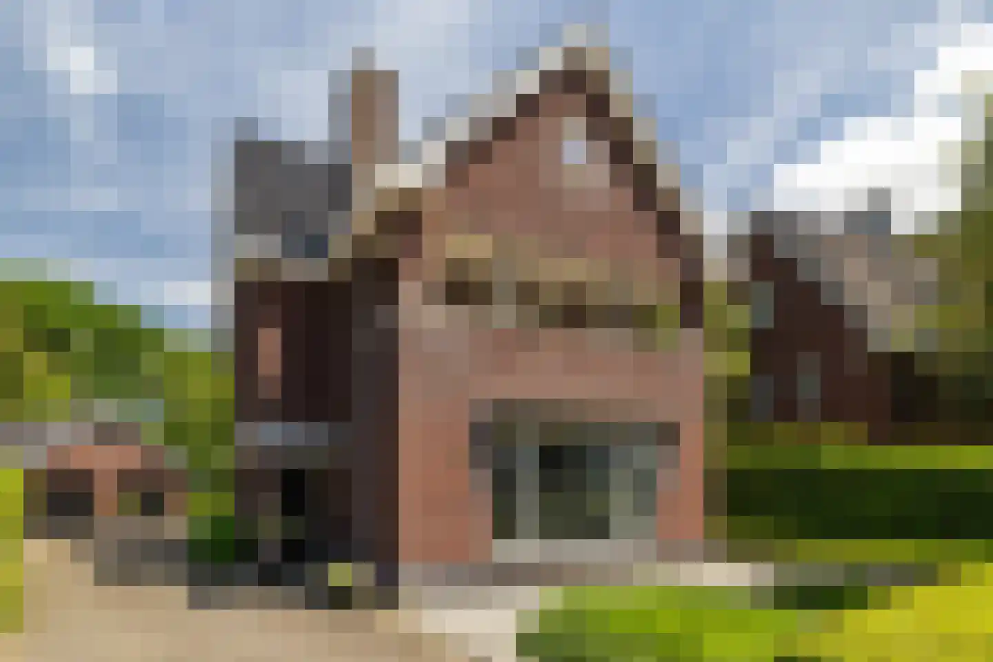 De Buntezoom 42 Nunspeet thumbnail 56