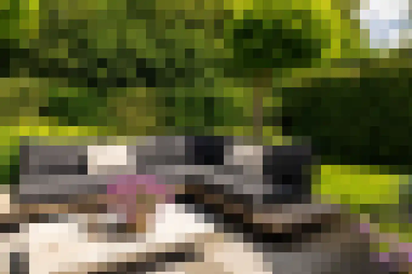 De Buntezoom 42 Nunspeet thumbnail 59
