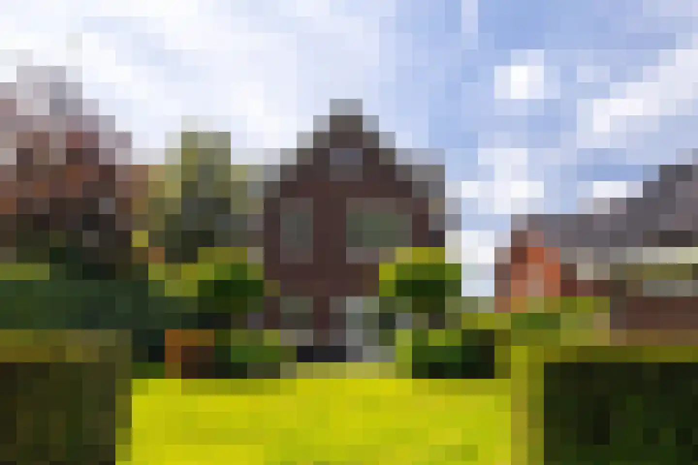 De Buntezoom 42 Nunspeet thumbnail 60