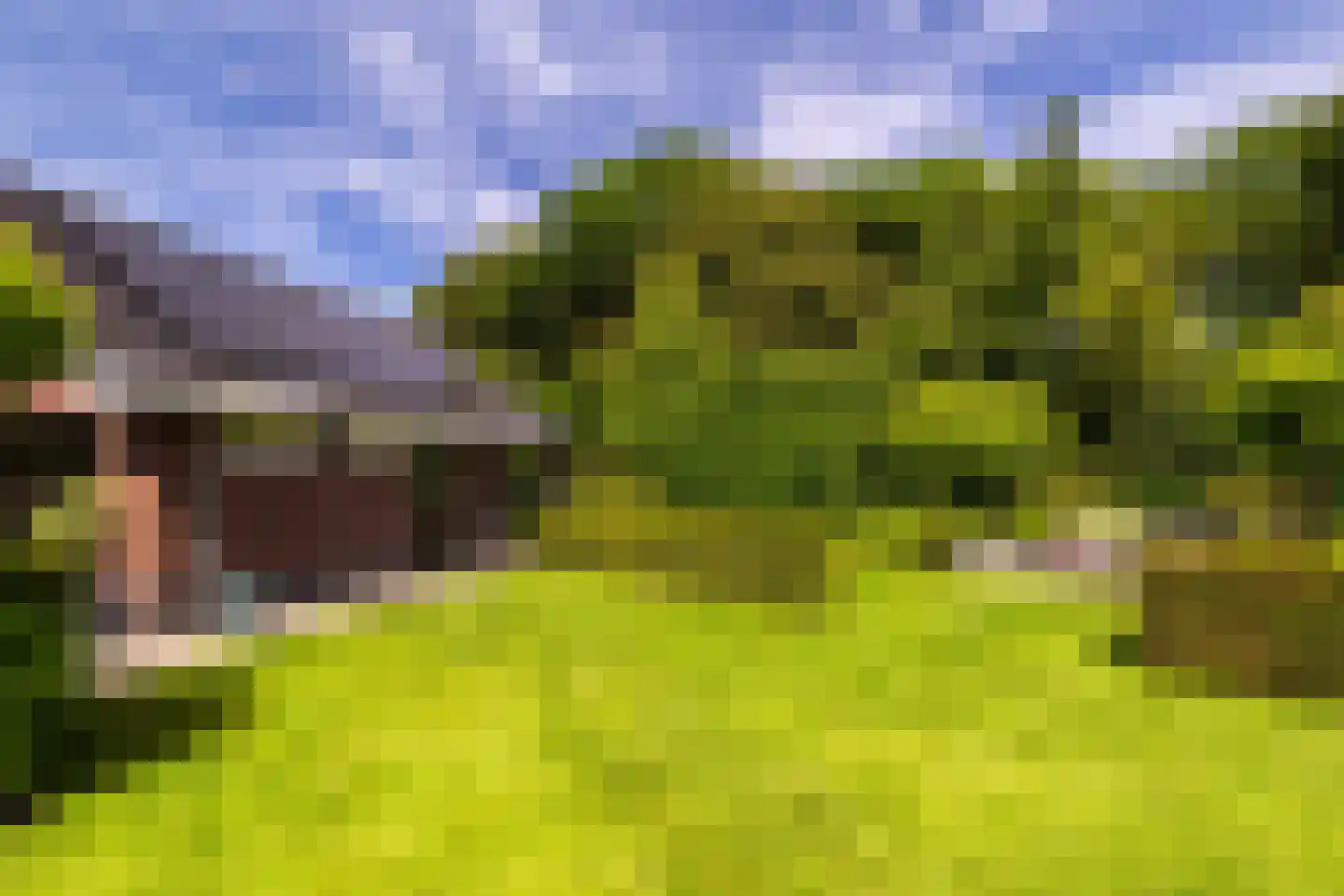 De Buntezoom 42 Nunspeet thumbnail 61