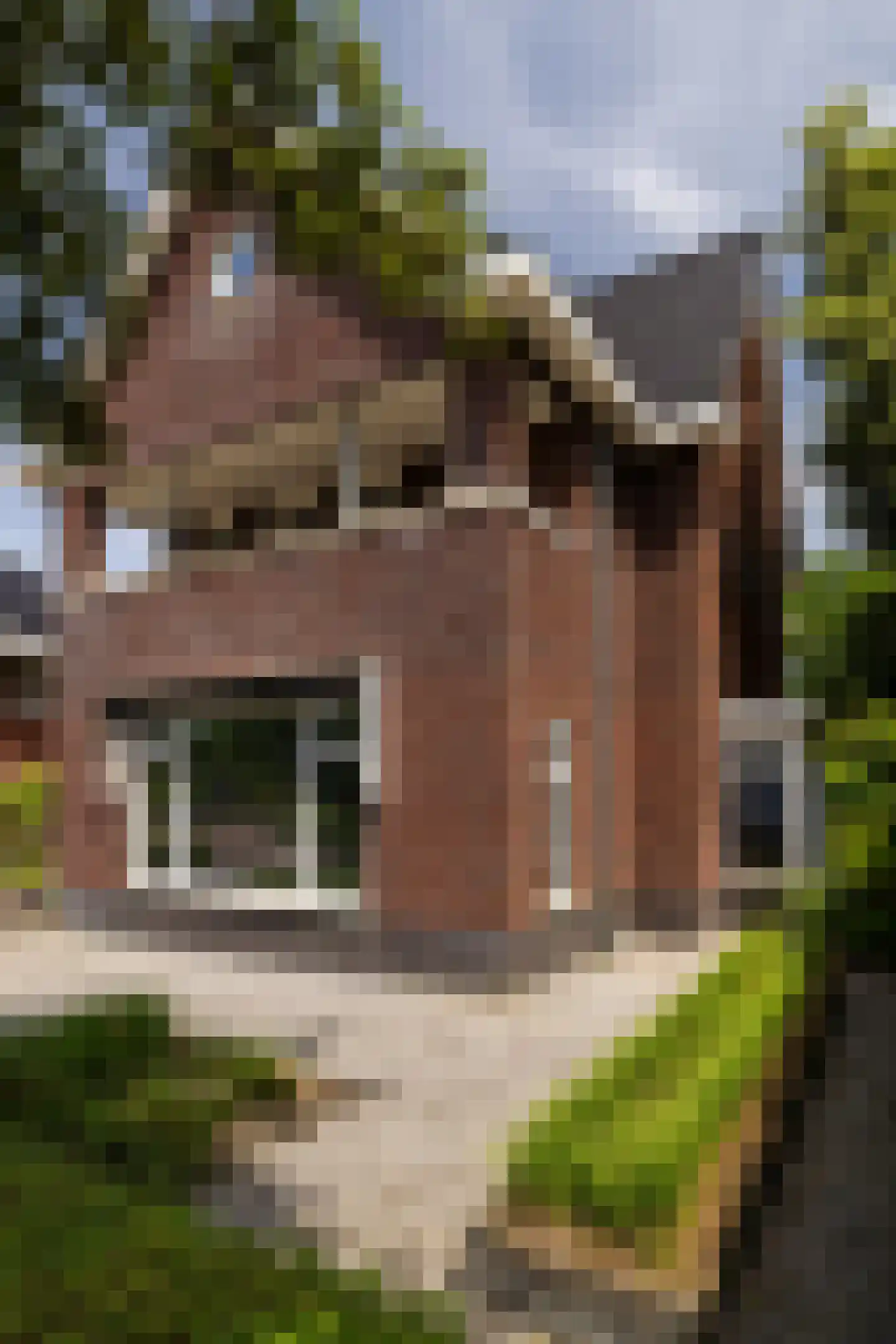 De Buntezoom 42 Nunspeet thumbnail 7