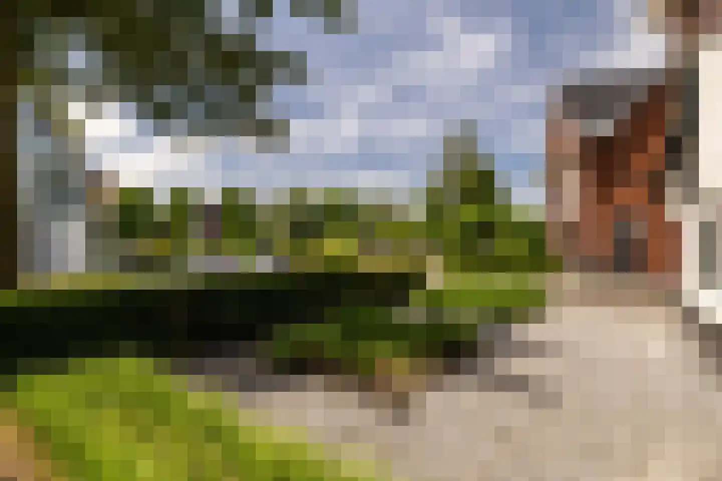 De Buntezoom 42 Nunspeet thumbnail 8