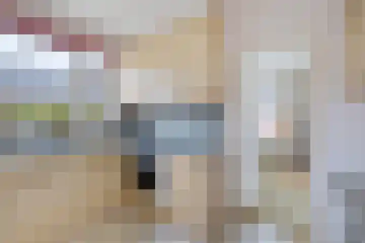 De Buorfinne 26 Easternijtsjerk thumbnail 15