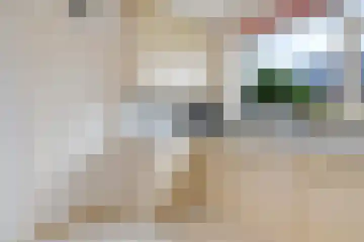 De Buorfinne 26 Easternijtsjerk thumbnail 16