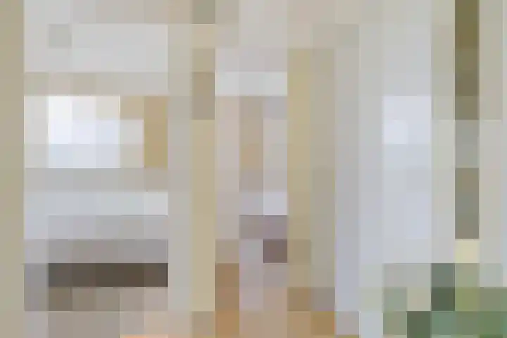 De Buorfinne 26 Easternijtsjerk thumbnail 18