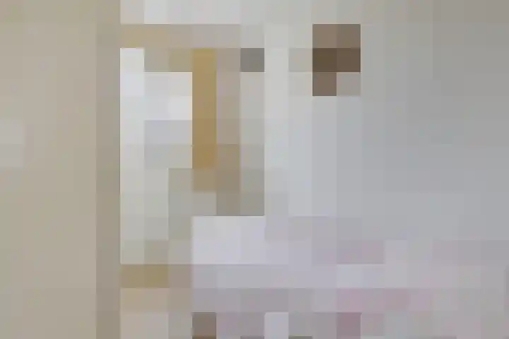 De Buorfinne 26 Easternijtsjerk thumbnail 19