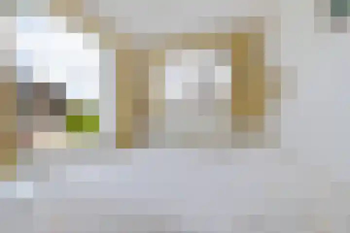 De Buorfinne 26 Easternijtsjerk thumbnail 22