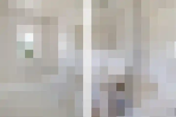 De Buorfinne 26 Easternijtsjerk thumbnail 24