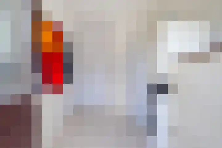 De Buorfinne 26 Easternijtsjerk thumbnail 26