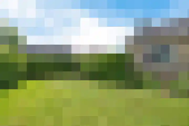 De Buorfinne 26 Easternijtsjerk thumbnail 27