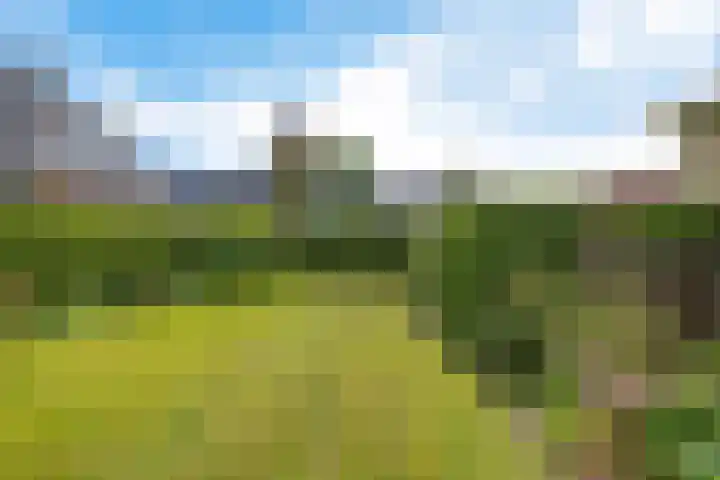 De Buorfinne 26 Easternijtsjerk thumbnail 28